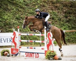 jumper Djeddah Semilly (Selle Français, 2013, from Action-Breaker)