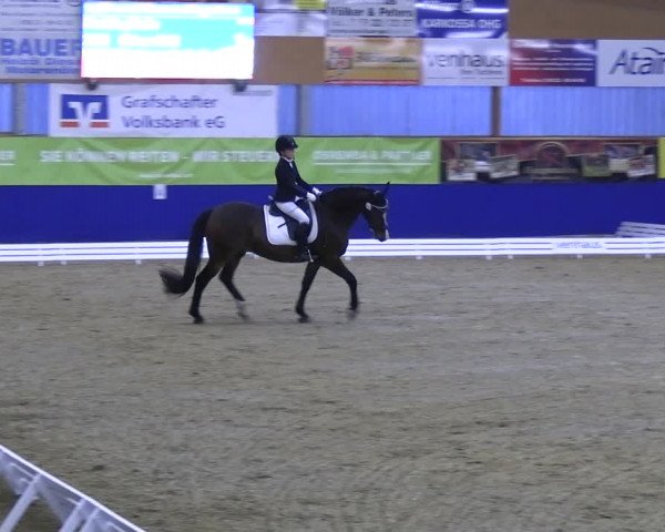 Reitturnier Isterberg 2023