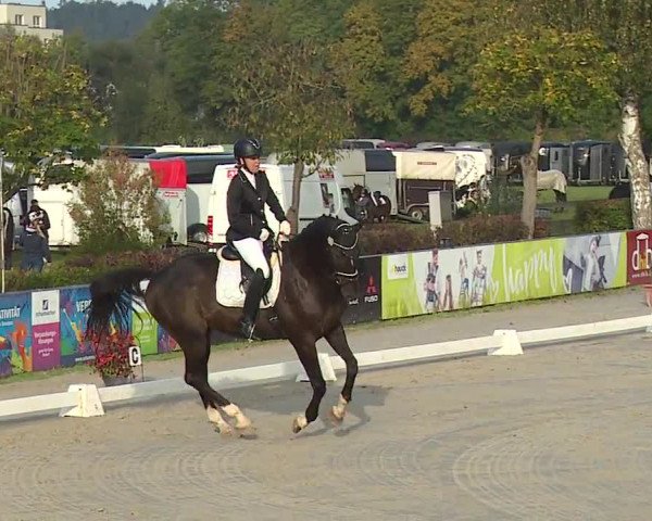 Reitturnier Frankenhof-Sonnefeld/Ofr. 2023