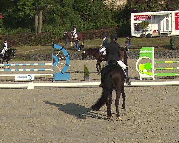 Reitturnier Frankenhof-Sonnefeld/Ofr. 2023