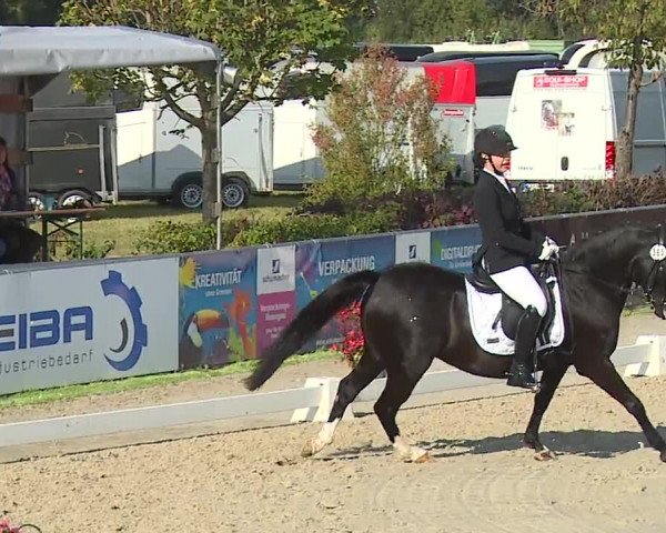 Reitturnier Frankenhof-Sonnefeld/Ofr. 2023