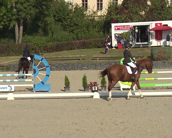 Reitturnier Frankenhof-Sonnefeld/Ofr. 2023