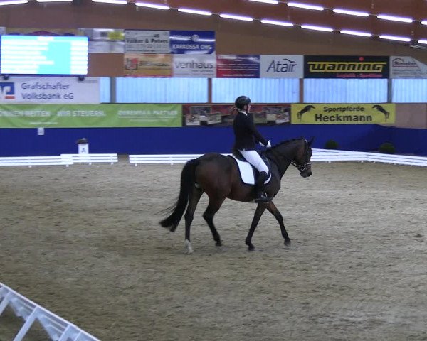 Reitturnier Isterberg 2023