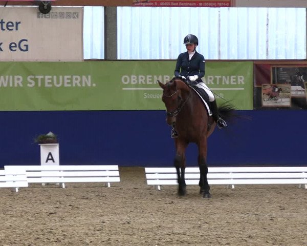 Reitturnier Isterberg 2023
