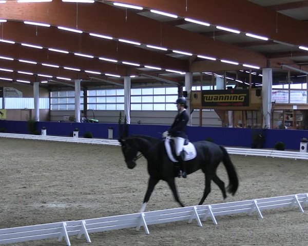 Reitturnier Isterberg 2023