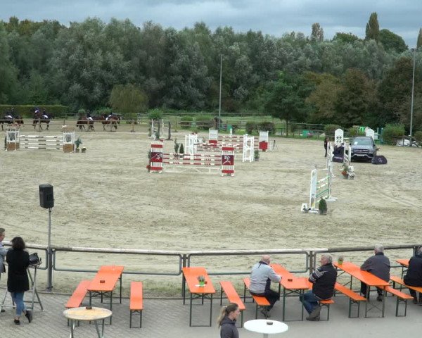Reitturnier Kamen 2023