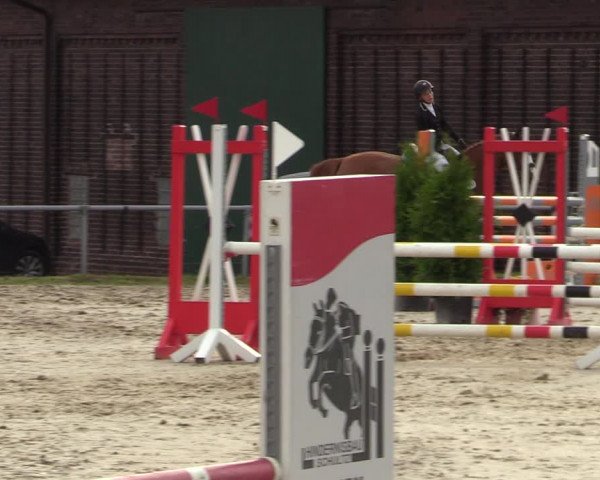 Reitturnier Dortmund-Barop 2021