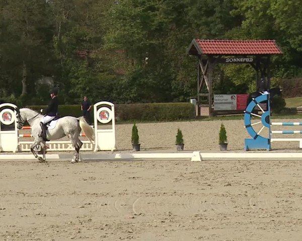 Reitturnier Frankenhof-Sonnefeld/Ofr. 2023