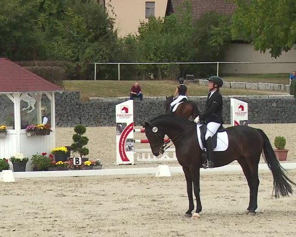Reitturnier Frankenhof-Sonnefeld/Ofr. 2023
