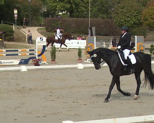 Reitturnier Frankenhof-Sonnefeld/Ofr. 2023