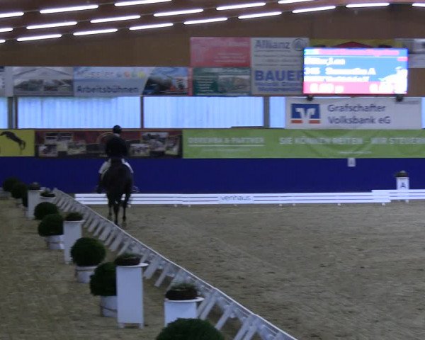 Reitturnier Isterberg 2023