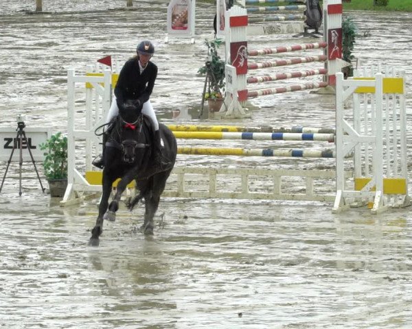 Reitturnier Kamen 2023