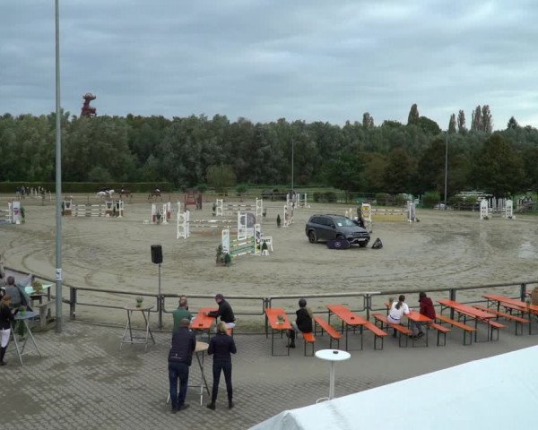Reitturnier Kamen 2023