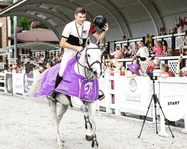 stallion Crystal Sky (Westphalian, 2011, from DSP Con Spirit)