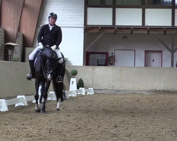 Reitturnier Kamen 2023