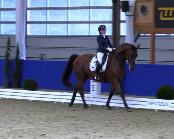 Reitturnier Isterberg 2023