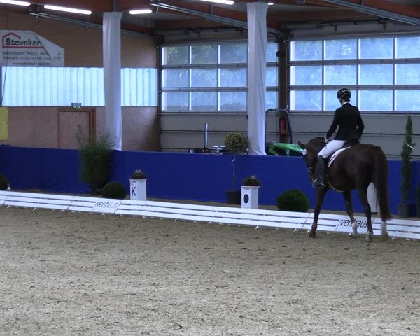 Reitturnier Isterberg 2023