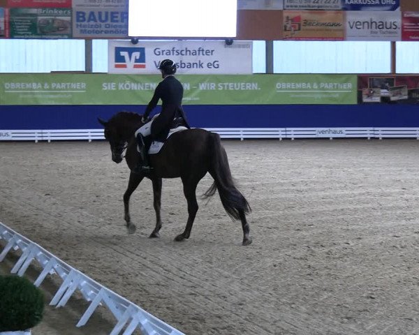 Reitturnier Isterberg 2023