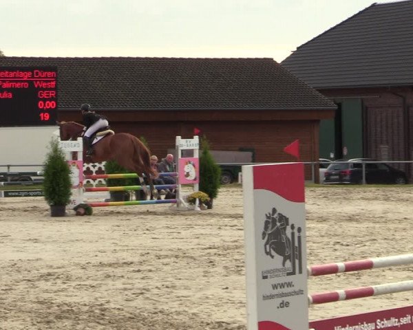 Reitturnier Dortmund-Barop 2021