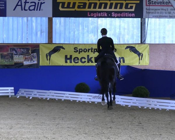 Reitturnier Isterberg 2023
