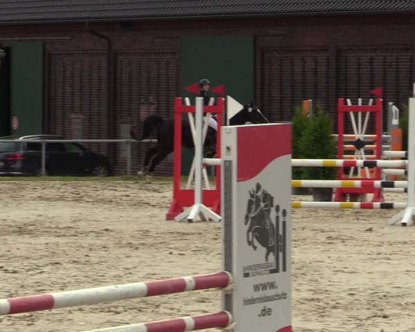 Reitturnier Dortmund-Barop 2021