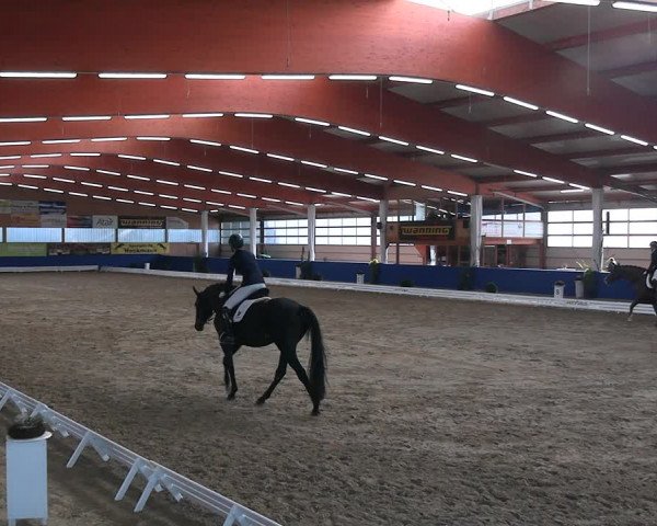 Reitturnier Isterberg 2023