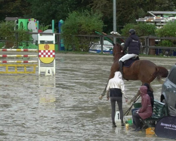 Reitturnier Kamen 2023