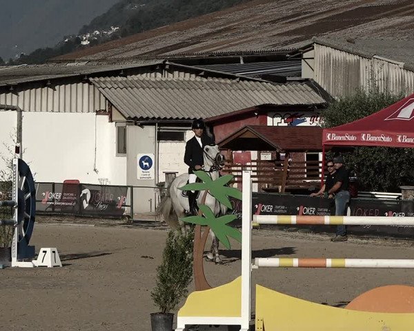 Reitturnier Giubiasco 2023