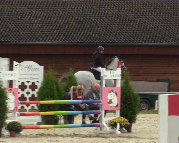 Reitturnier Dortmund-Barop 2021