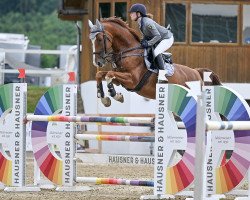 jumper Chambertino (Oldenburg, 2010, from Chamberland)