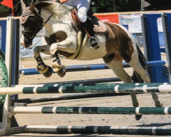 jumper Ihlailah Uh (German Riding Pony, 2017)