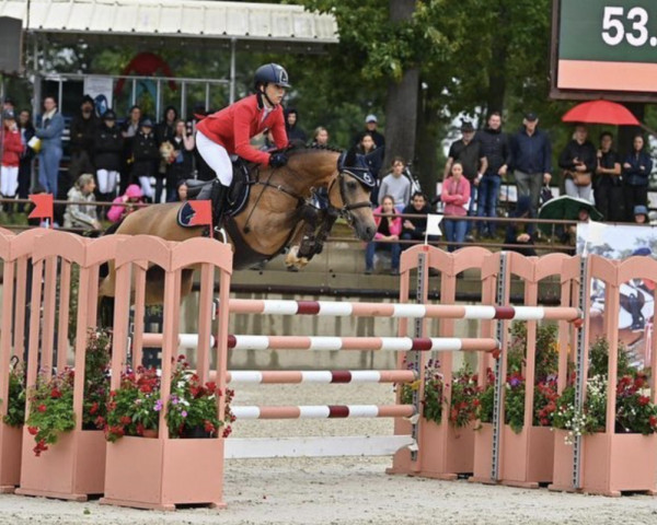 jumper Orchid's Anucia (Nederlands Rijpaarden en Pony, 2011, from Kanshebber)