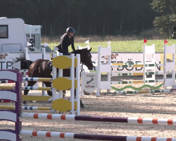 Reitturnier Ranshofen - Braunau am Inn 2023