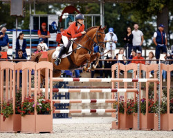 jumper Navayo (Belgium Sporthorse, 2009, from Jerome van de Vondelhoeve)