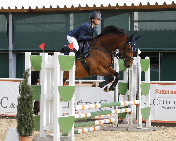 broodmare Valpolicella Classica (Oldenburg, 2017, from van Gogh)
