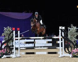 jumper Bennys Kelly (Irish Sport Horse, 2016, from Bennys Legacy)