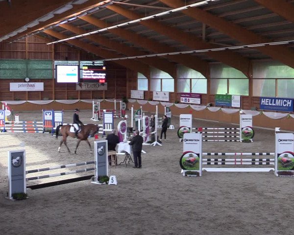 Reitturnier Xanten - Reitanlage Miss 2023