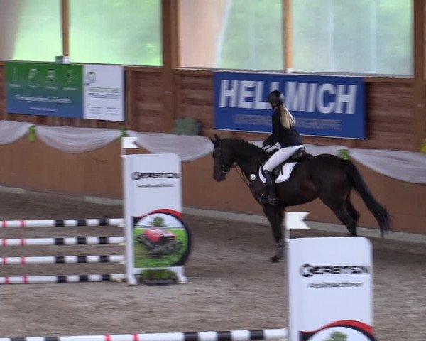 Reitturnier Xanten - Reitanlage Miss 2023