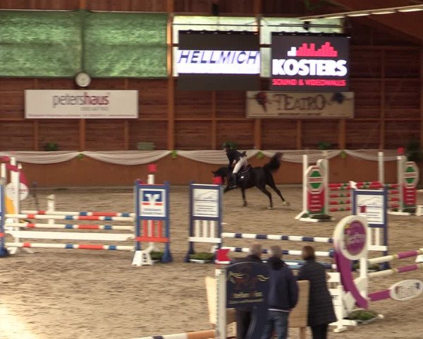 Reitturnier Xanten - Reitanlage Miss 2023