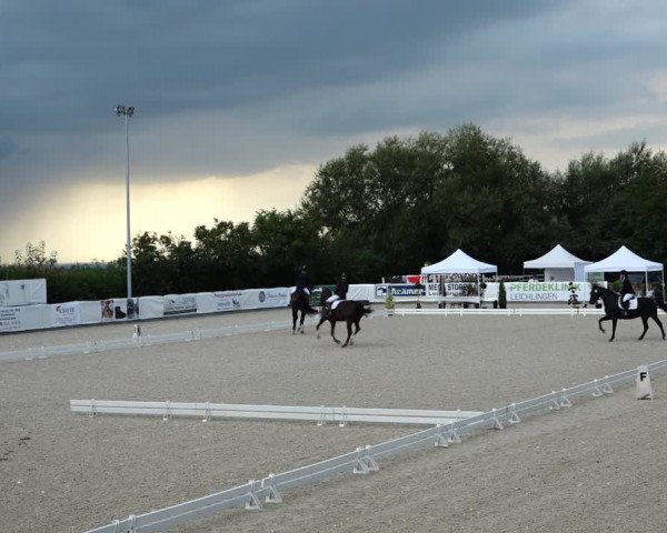 Reitturnier Leichlingen-Witzhelden 2021