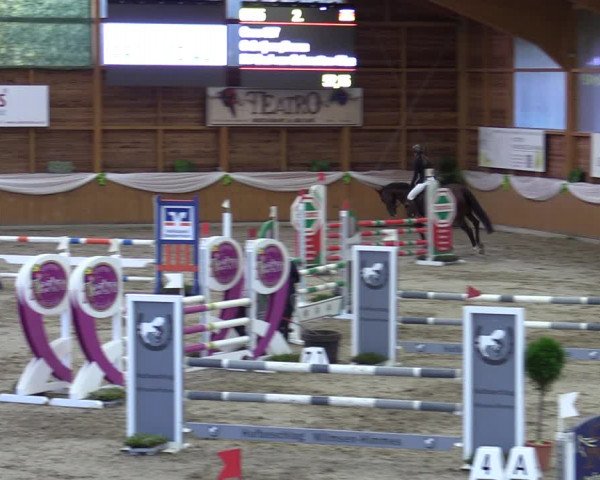 Reitturnier Xanten - Reitanlage Miss 2023