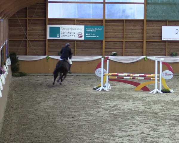 Reitturnier Xanten - Reitanlage Miss 2023