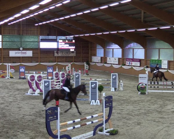 Reitturnier Xanten - Reitanlage Miss 2023