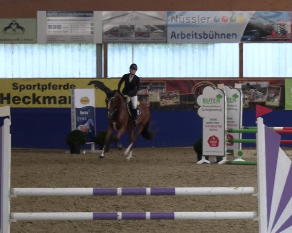 Reitturnier Isterberg 2023