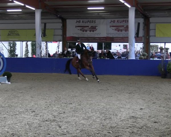 Reitturnier Isterberg 2023