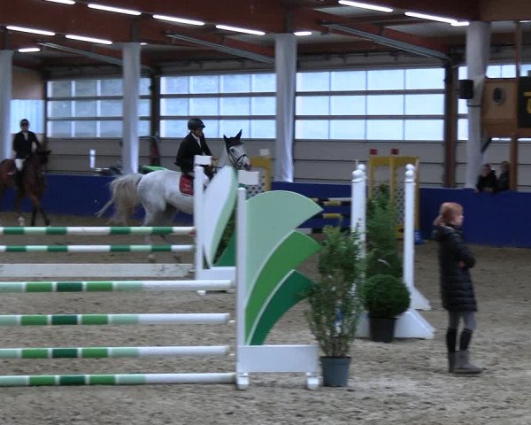 Reitturnier Isterberg 2023
