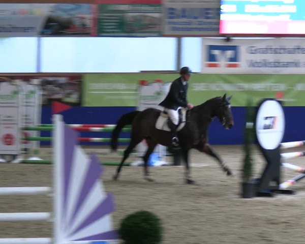 Reitturnier Isterberg 2023
