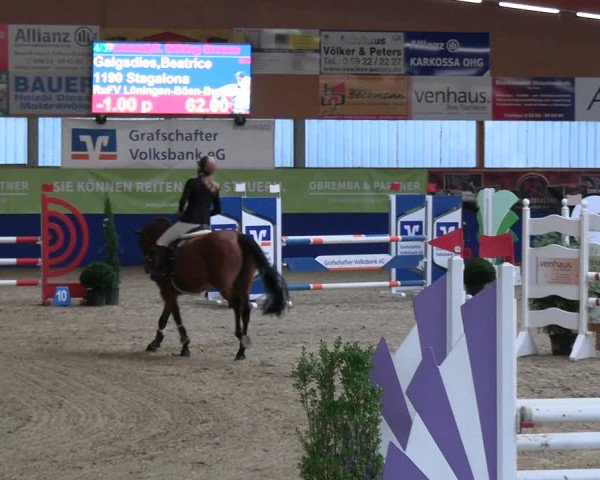 Reitturnier Isterberg 2023