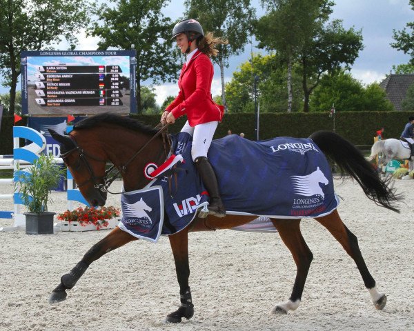 Springpferd Philema (Schwedisches Warmblut, 2001, von Robin II Z)