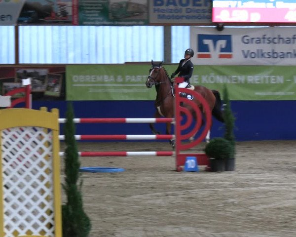 Reitturnier Isterberg 2023